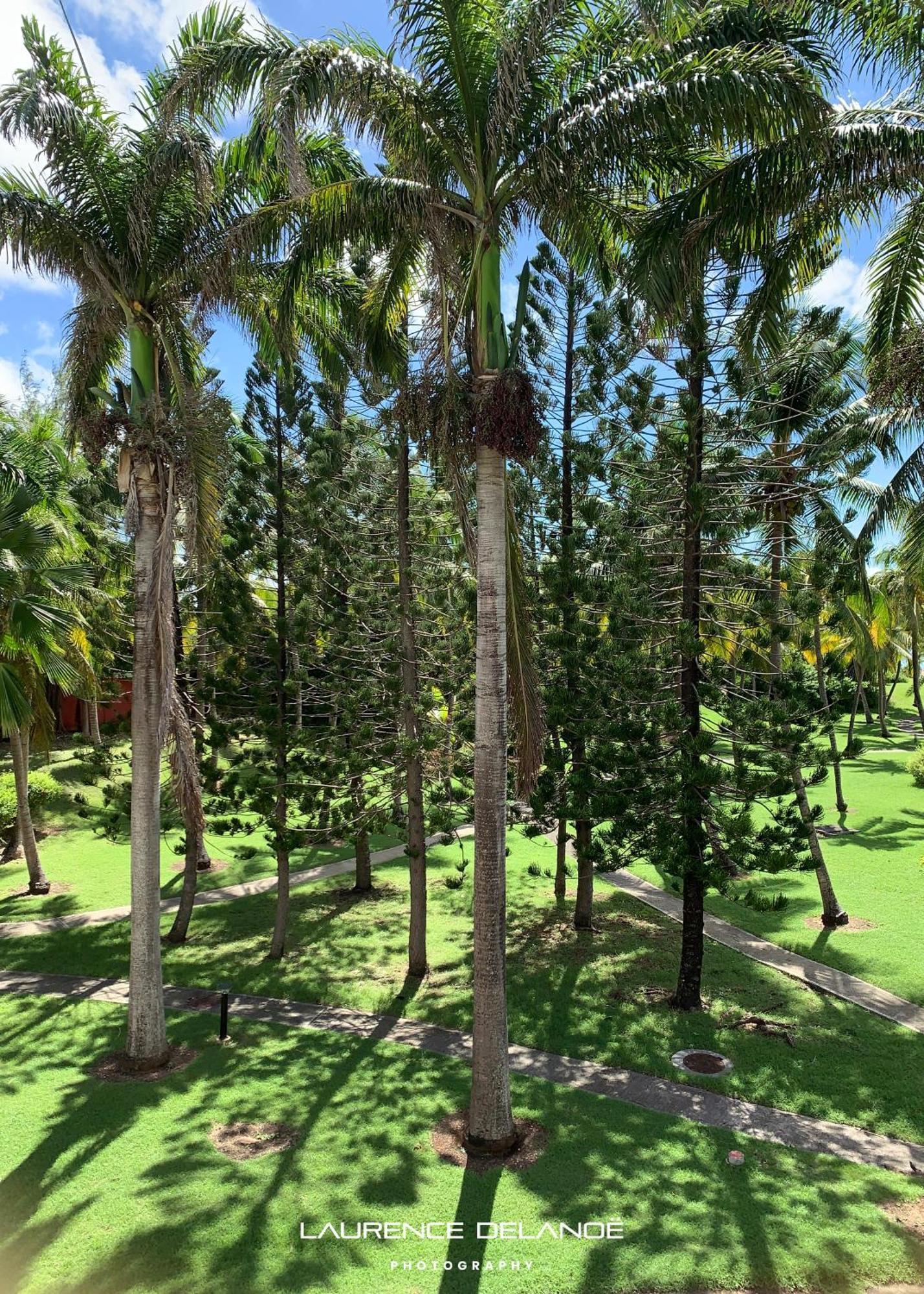 Varangue, Anse Des Rochers Appartement